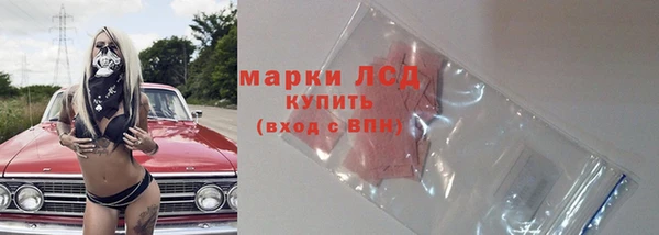 индика Алексин