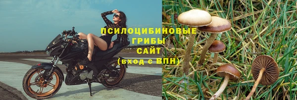 2c-b Абдулино