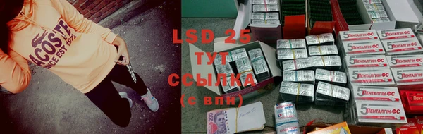 крисы Надым