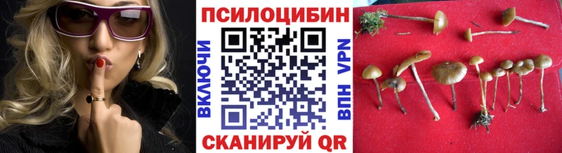 Псилоцибиновые грибы Cubensis  наркота  гидра маркетплейс  Нижневартовск 